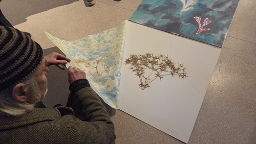 Der Künstler Olaf Wegewitz zeigt sein Huysburger Herbar.